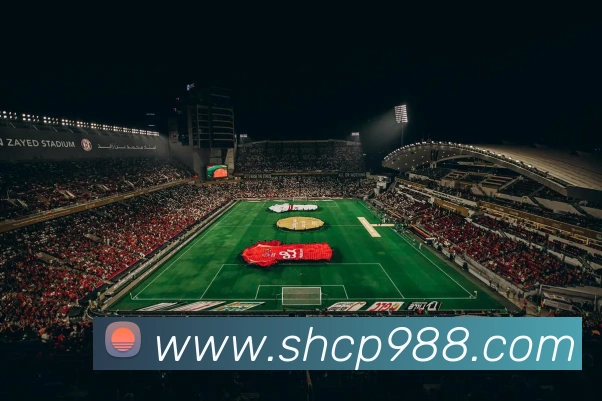 彩神vll官网服务体系